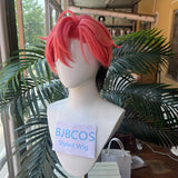 [Styled Wig]‌MELLOW DEAR US Cosplay Wig Pink Brown Mixed Wig Heat Resistant Synthetic Hair Halloween Cos Anime Wig For Men