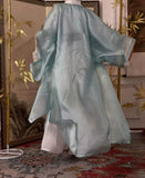 Ashes of the Kingdom‌ Cosplay in ancient costume and costume style clothing