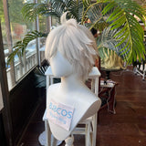 [Styled Wig]X Chara Cosplay Wig Game Man Silver Short Spiky Hair For Game Anime Character Manga Style Halloween Party Wig