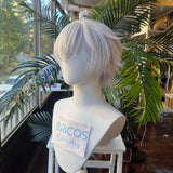 [Styled Wig]Wise Cosplay Wig Game Zenless Zone Zero ZZZ Men 33CM Short Gray Hair For Halloween Heat Resistant Synthetic Wigs