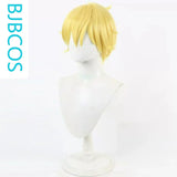 [Styled Wig]Star Detective PrecureJie Te senior cosplay wig