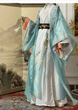 Ashes of the Kingdom‌ Cosplay in ancient costume and costume style clothing