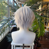 [Styled Wig]Wise Cosplay Wig Game Zenless Zone Zero ZZZ Men 33CM Short Gray Hair For Halloween Heat Resistant Synthetic Wigs