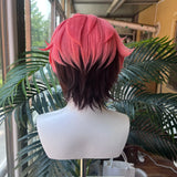 [Styled Wig]‌MELLOW DEAR US Cosplay Wig Pink Brown Mixed Wig Heat Resistant Synthetic Hair Halloween Cos Anime Wig For Men