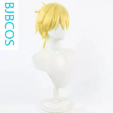 [Styled Wig]Star Detective PrecureJie Te senior cosplay wig