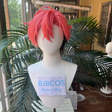 [Styled Wig]‌MELLOW DEAR US Cosplay Wig Pink Brown Mixed Wig Heat Resistant Synthetic Hair Halloween Cos Anime Wig For Men