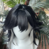 [Styled Wig]Honkai Star Rail Ashvei Black Gray Long Hair Heat Resistant Fiber Hair Ashen Detective Agency Halloween Women Men
