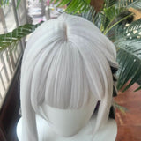 [Styled Wig]Honkai: Star Rail Cosplay Wig Cosplay Wigs Nihilux Halloween Party Role Play