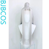 [Styled Wig]Ashes of the Kingdom‌ Silver white Lace Front Wig COS Ganji wig set with other characters in the picture