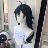 [Styled Wig]Twisted Wonderland Malleus Draconia Video Game Cosplay Wigs Synthetic Hair + Wig Cap