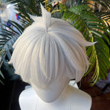 [Styled Wig]Wise Cosplay Wig Game Zenless Zone Zero ZZZ Men 33CM Short Gray Hair For Halloween Heat Resistant Synthetic Wigs