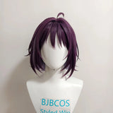 [Styled] Anime Cosmic Princess Kaguya Iroha Sakayori Cosplay Wig Chou Kaguya-hime Kaguya Purple Blue Hair Wigs For Women Men